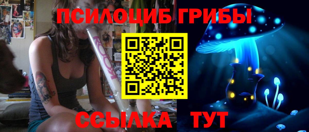 Псков  Псилоцибиновые грибы Psilocybe  Вход с VPN 